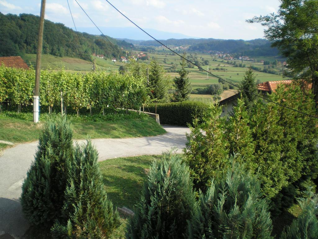 Apartments Country House Stipica Tuheljske Toplice Exterior foto